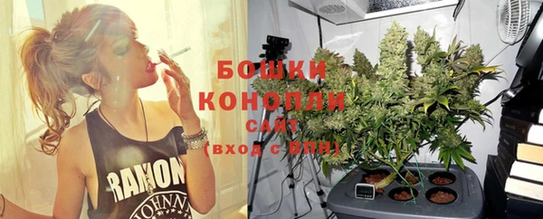 PSILOCYBIN Чердынь
